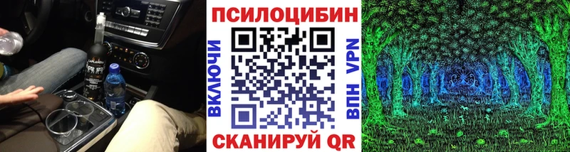Псилоцибиновые грибы MAGIC MUSHROOMS  МЕГА tor  Борзя  где можно купить наркотик 
